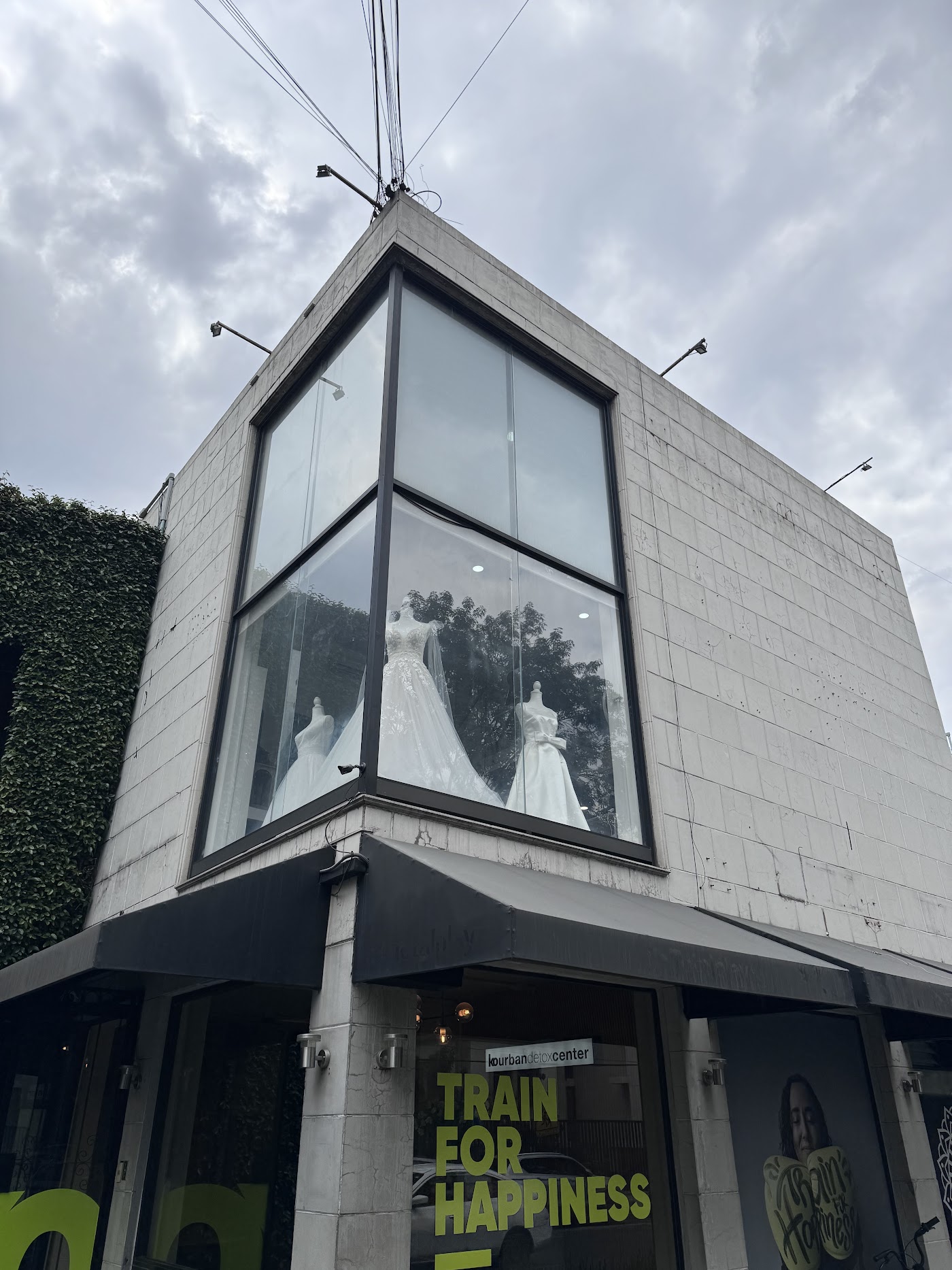 Foto real de White and Lace