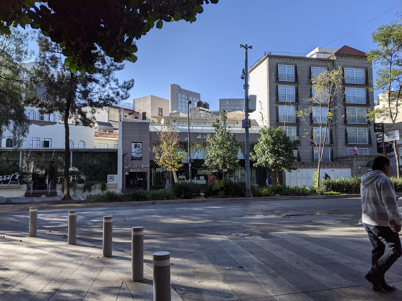 Foto real de White and Lace