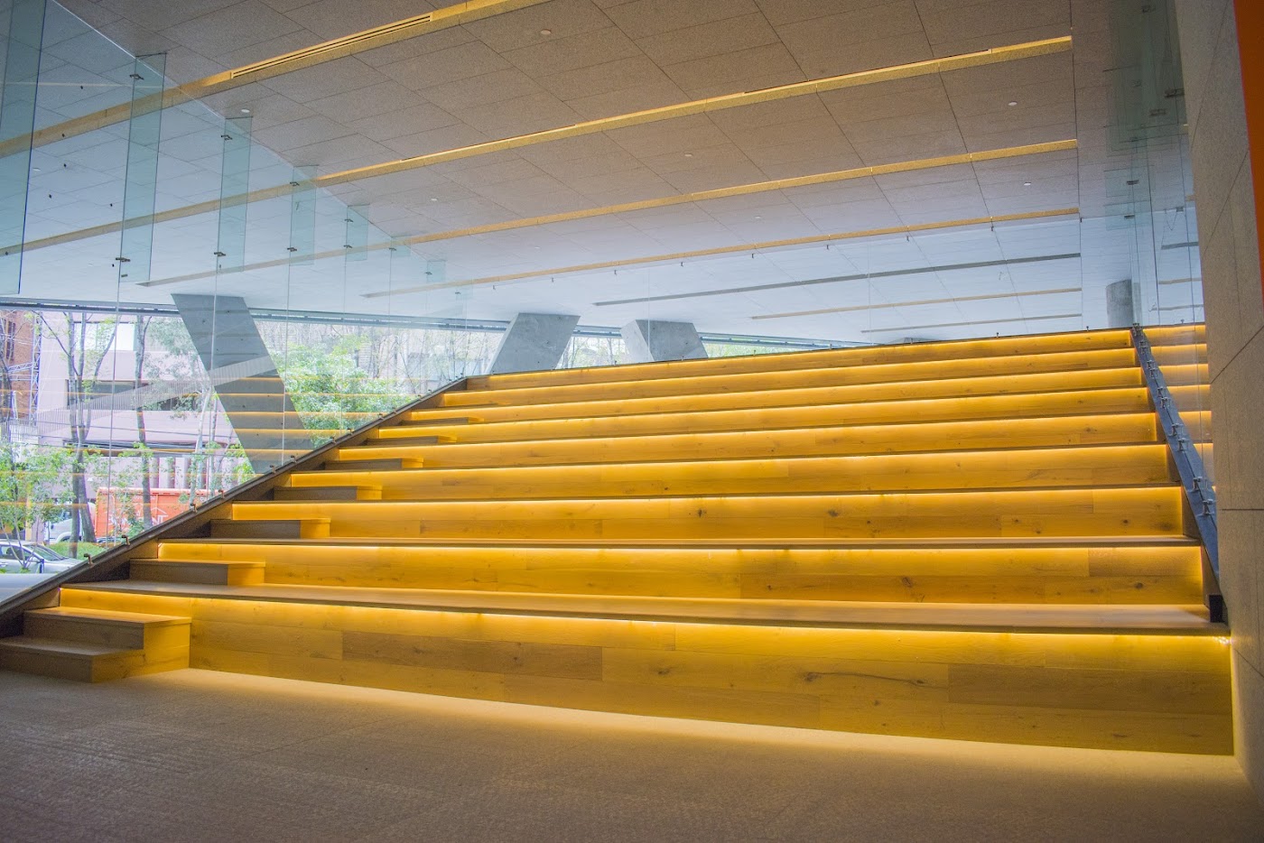 Foto real de Work Polanco